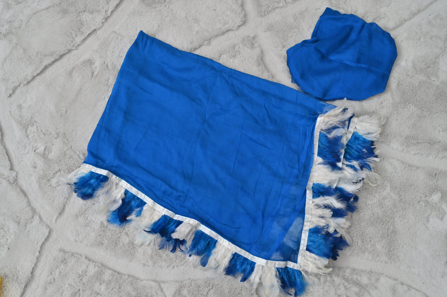 Sky Blue Chiffon Furr Saree