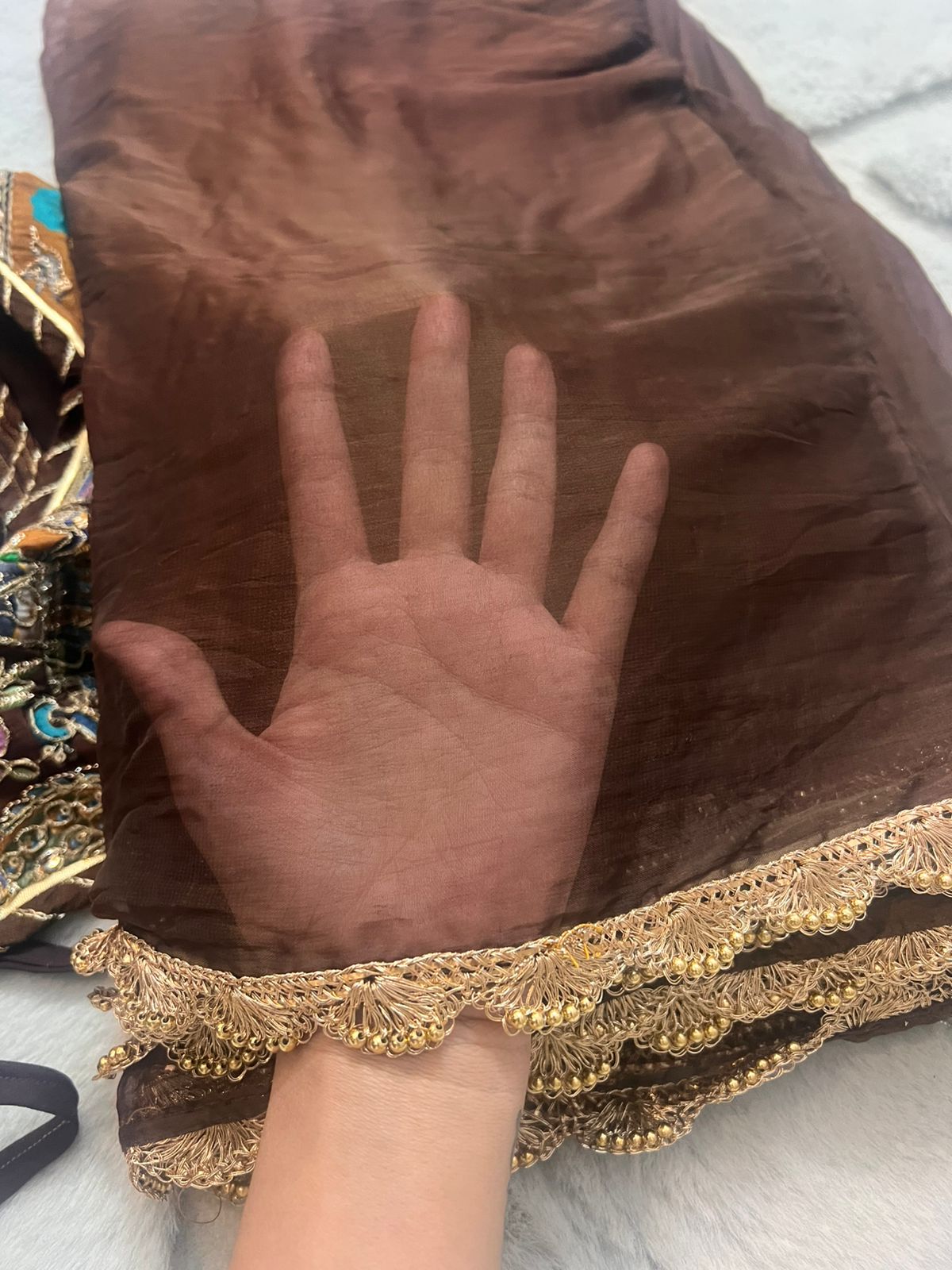 Chocolate Brown Chiffon Saree with Designer Border with Designer Kaanchli Blouse