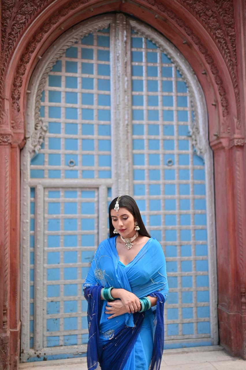 Sky Blue and  Dark Blue Shaded Zaal Work Chiffon Saree with Blouse Piece