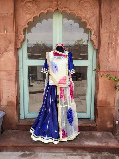 Beautiful Multi-Color Designer Poshak