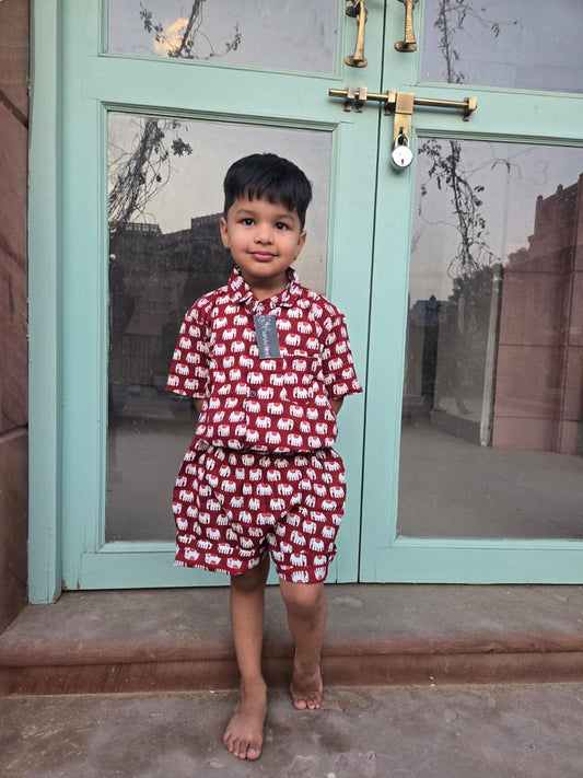 Beautiful Red Color Elephant Print Cotton Set