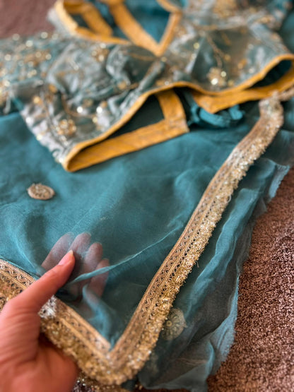 Beautiful Sea Green Chiffon Saree with Kanchli Blouse
