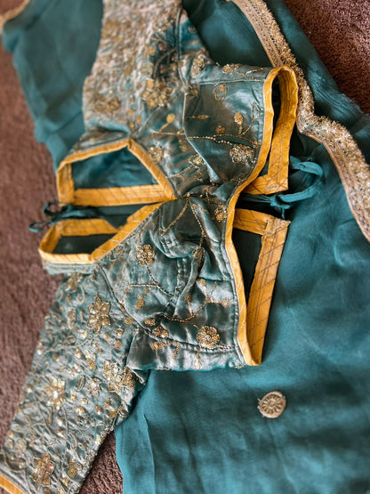 Beautiful Sea Green Chiffon Saree with Kanchli Blouse