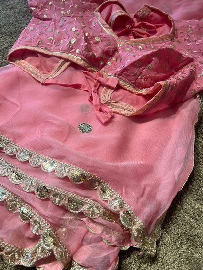 Beautiful Gota Work Chiffon Saree with Kanchli Blouse