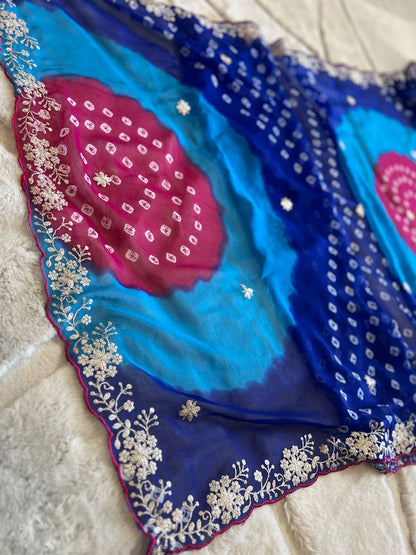 Beautiful Colorful Saree with Kasida and Cut Work on the Border and Heavy Blouse Piece