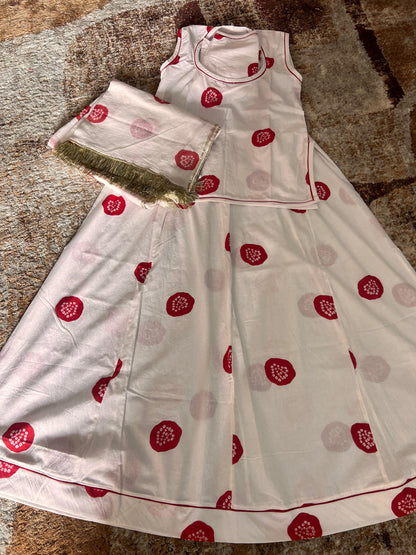 Faganiya Cotton Poshak