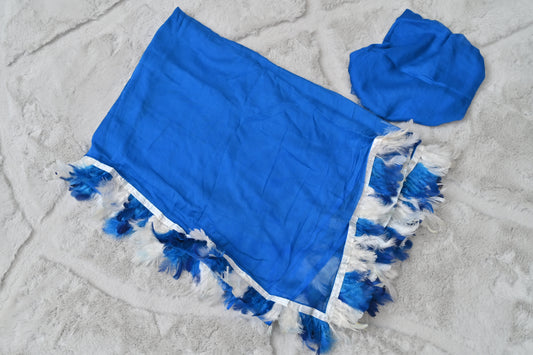 Sky Blue Chiffon Furr Saree