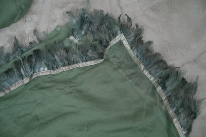 Sea Green Chiffon Furr Saree