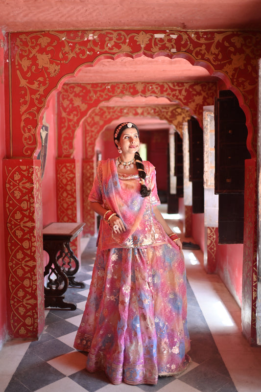 Beautiful Multi-color Fendy Tissue Poshak