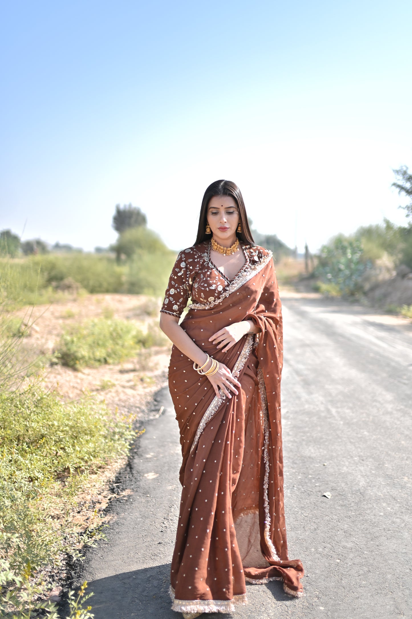 Pure Chinon Chocolate Bown Saree with Beautiful Gota work and Designer Kanchli Blouse (It will take around 10 days to dispatch)