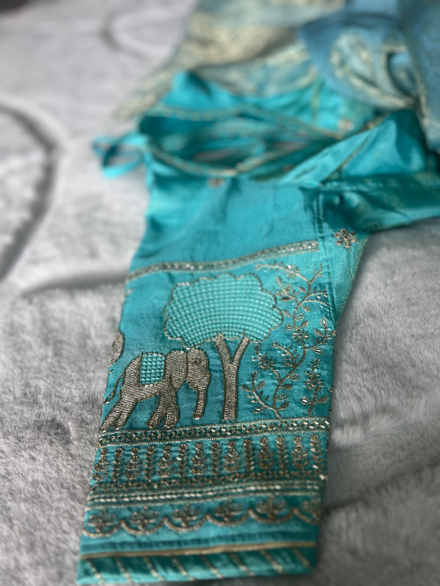 Beautiful Designer Soft Organza Saree with Designer Fandy Tissue Elephant Kanchli Blouse