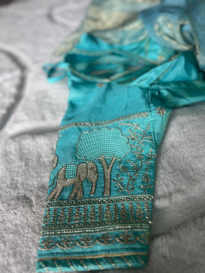 Beautiful Designer Soft Organza Saree with Designer Fandy Tissue Elephant Kanchli Blouse