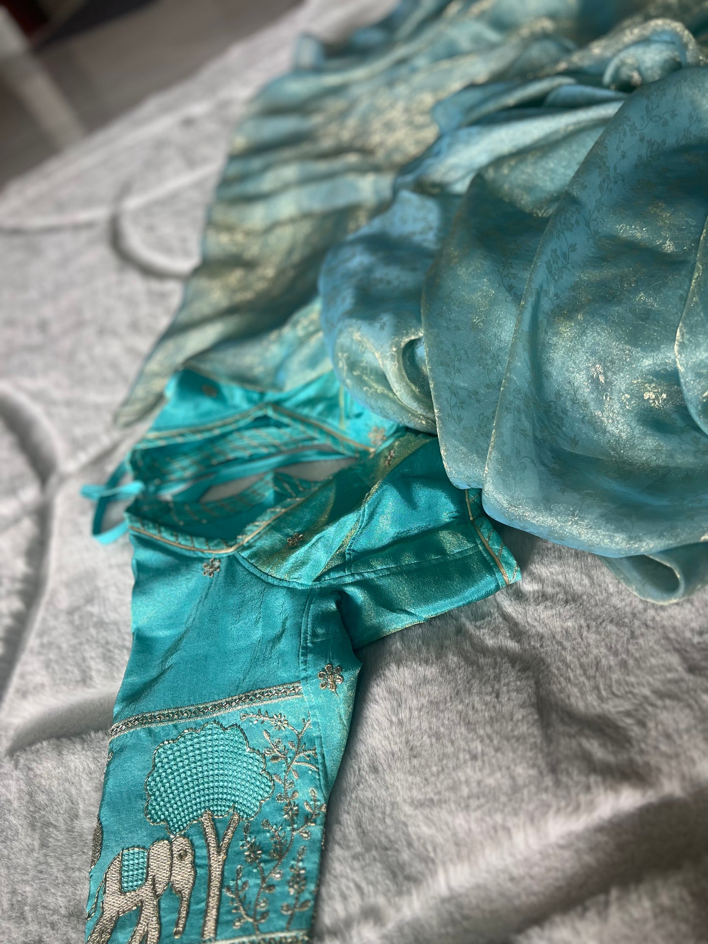 Beautiful Designer Soft Organza Saree with Designer Fandy Tissue Elephant Kanchli Blouse