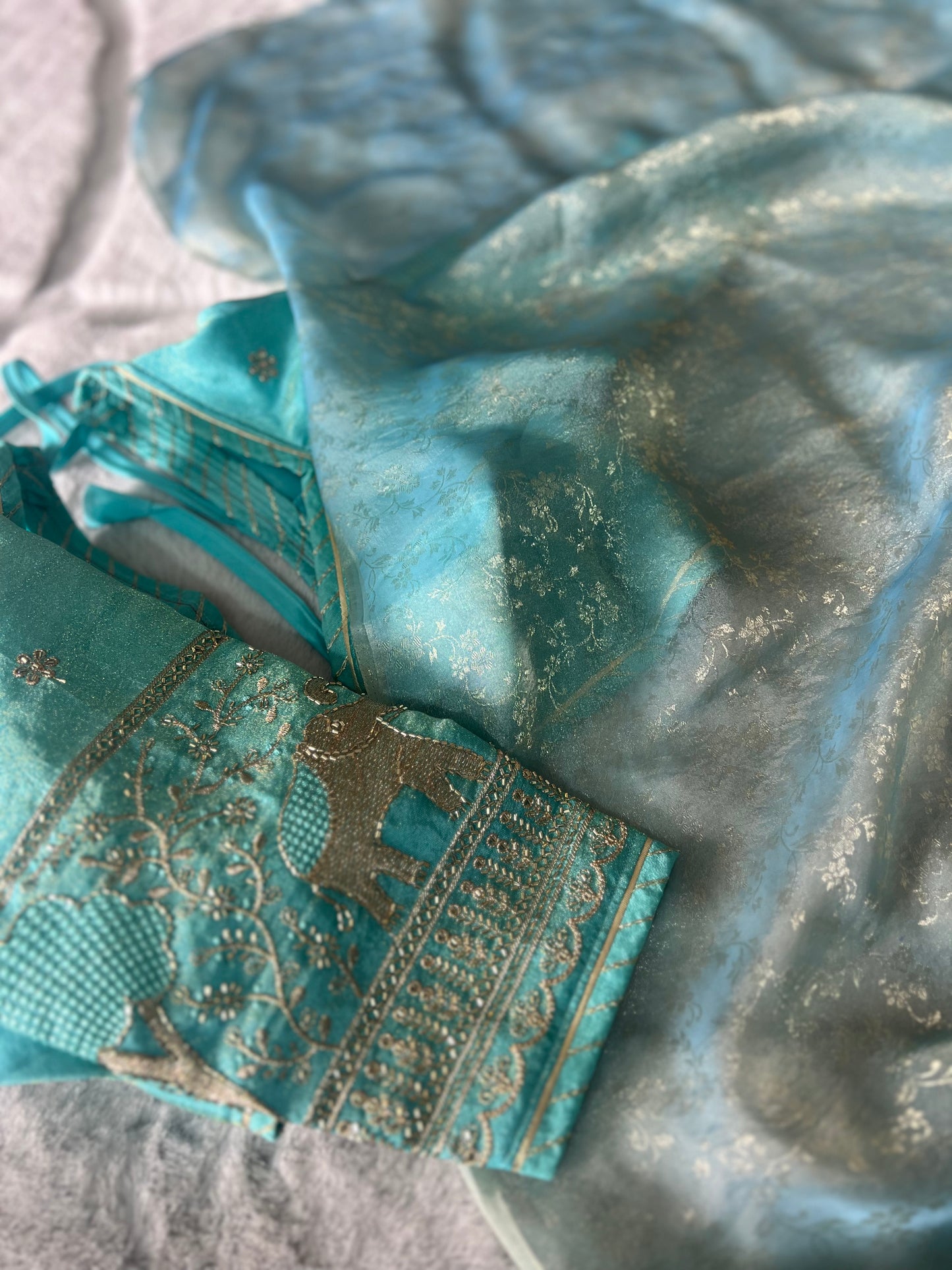 Beautiful Designer Soft Organza Saree with Designer Fandy Tissue Elephant Kanchli Blouse
