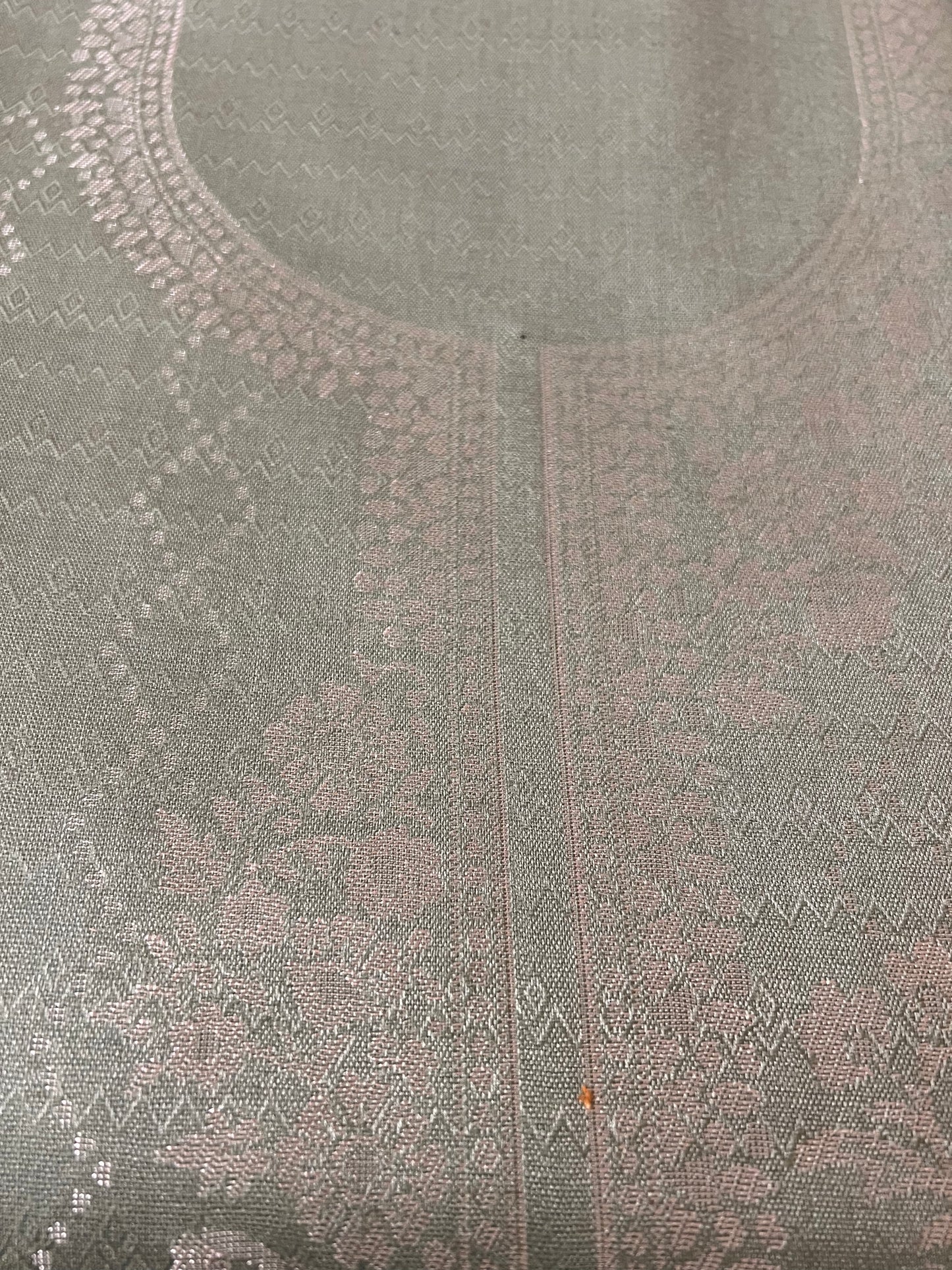 Pastel Green Pashmina Suit