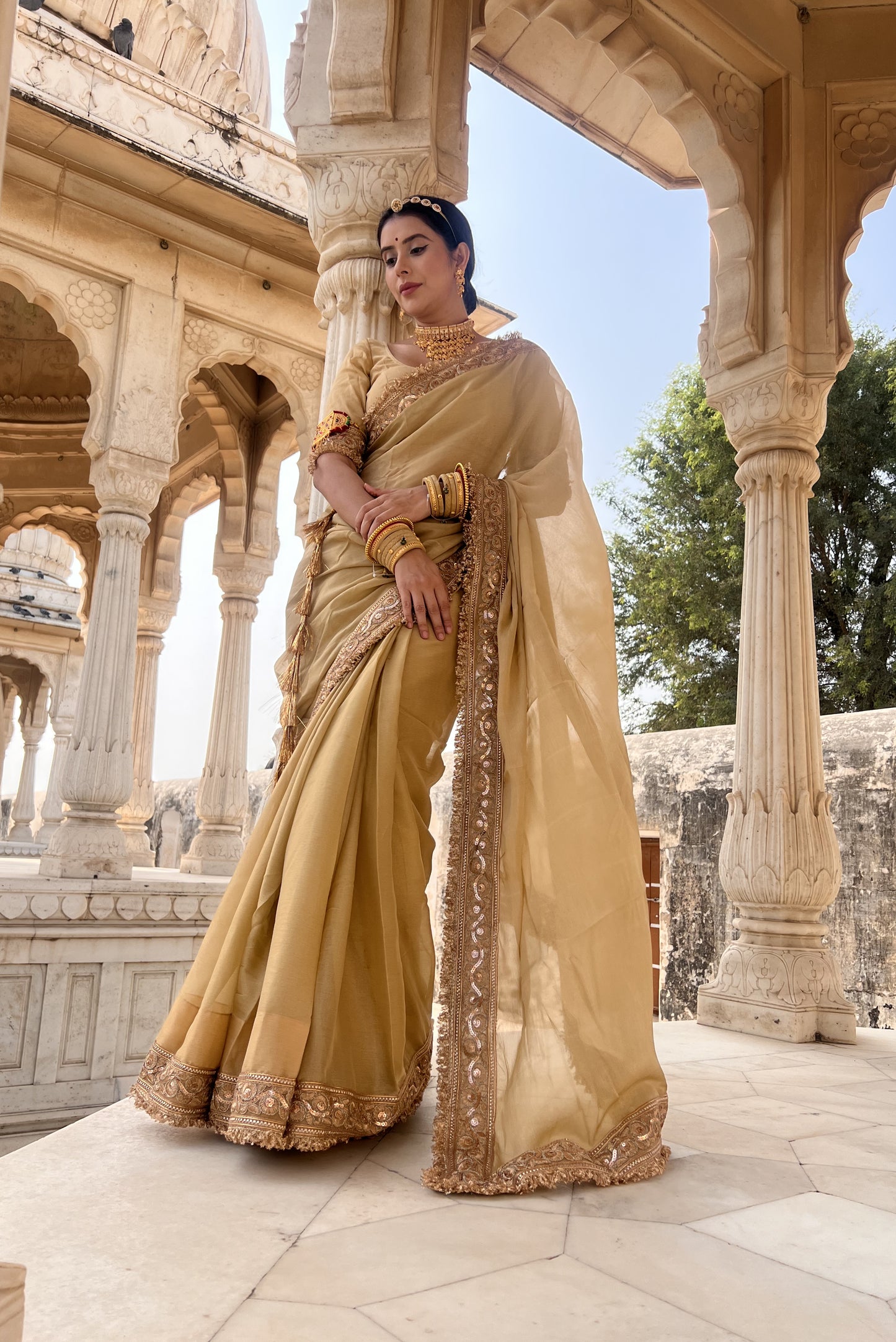 Beautiful beige chinon saree with authentic Rajasthani chirmir border with same stitched blouse