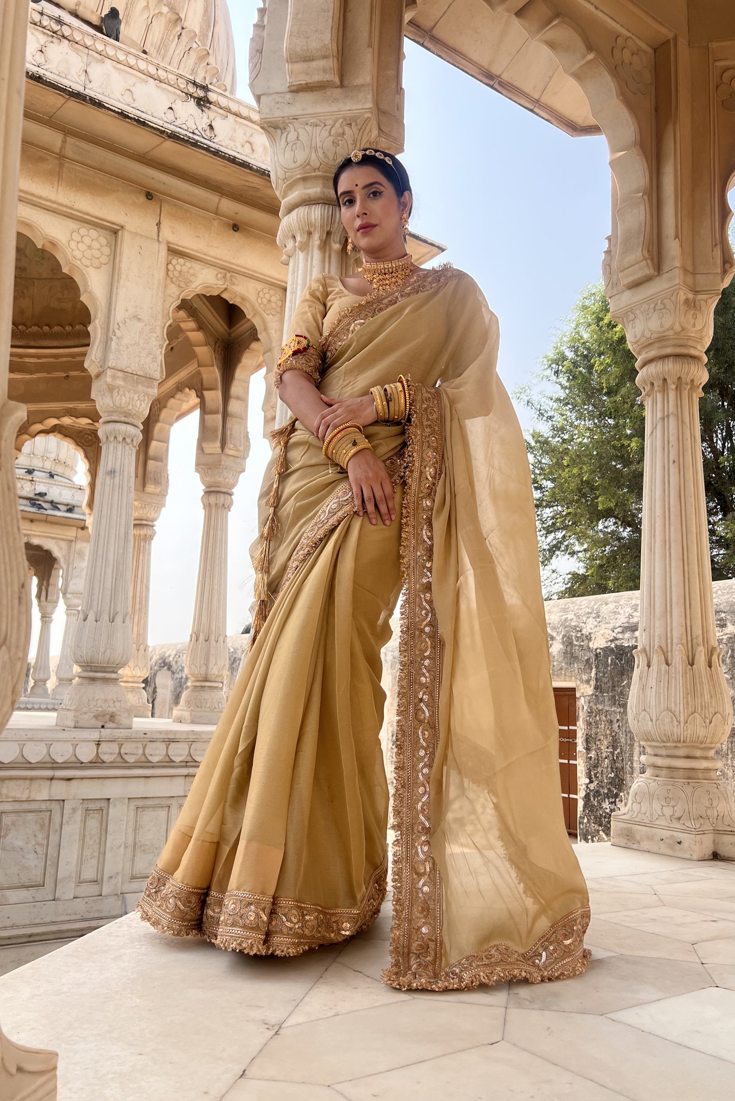 Beautiful beige chinon saree with authentic Rajasthani chirmir border with same stitched blouse