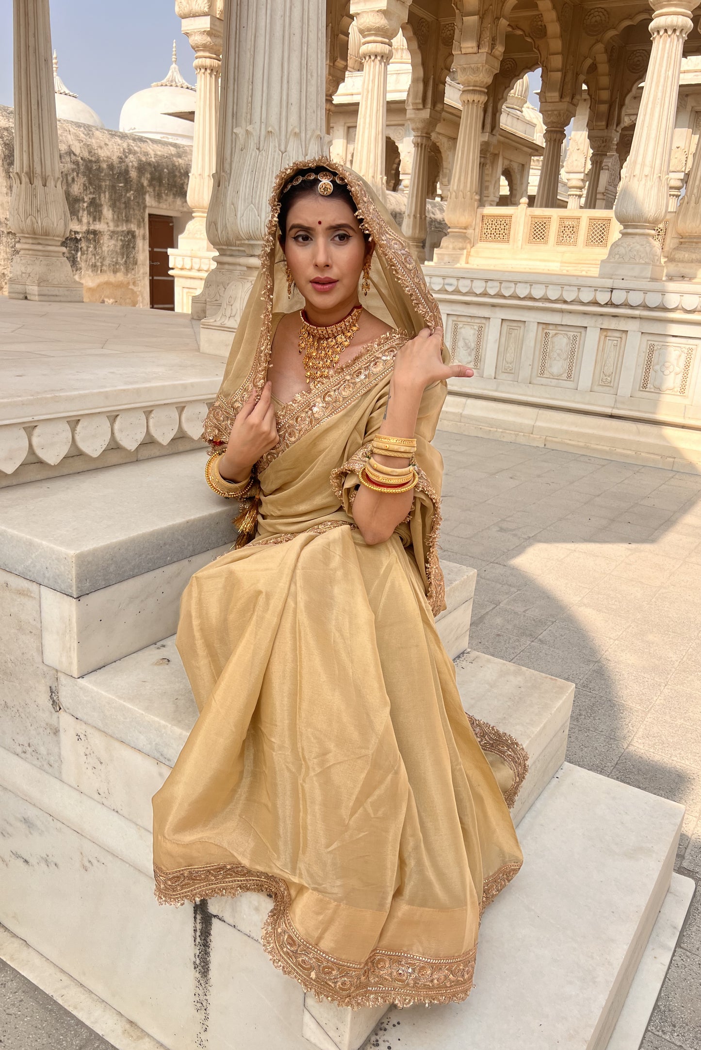 Beautiful beige chinon saree with authentic Rajasthani chirmir border with same stitched blouse