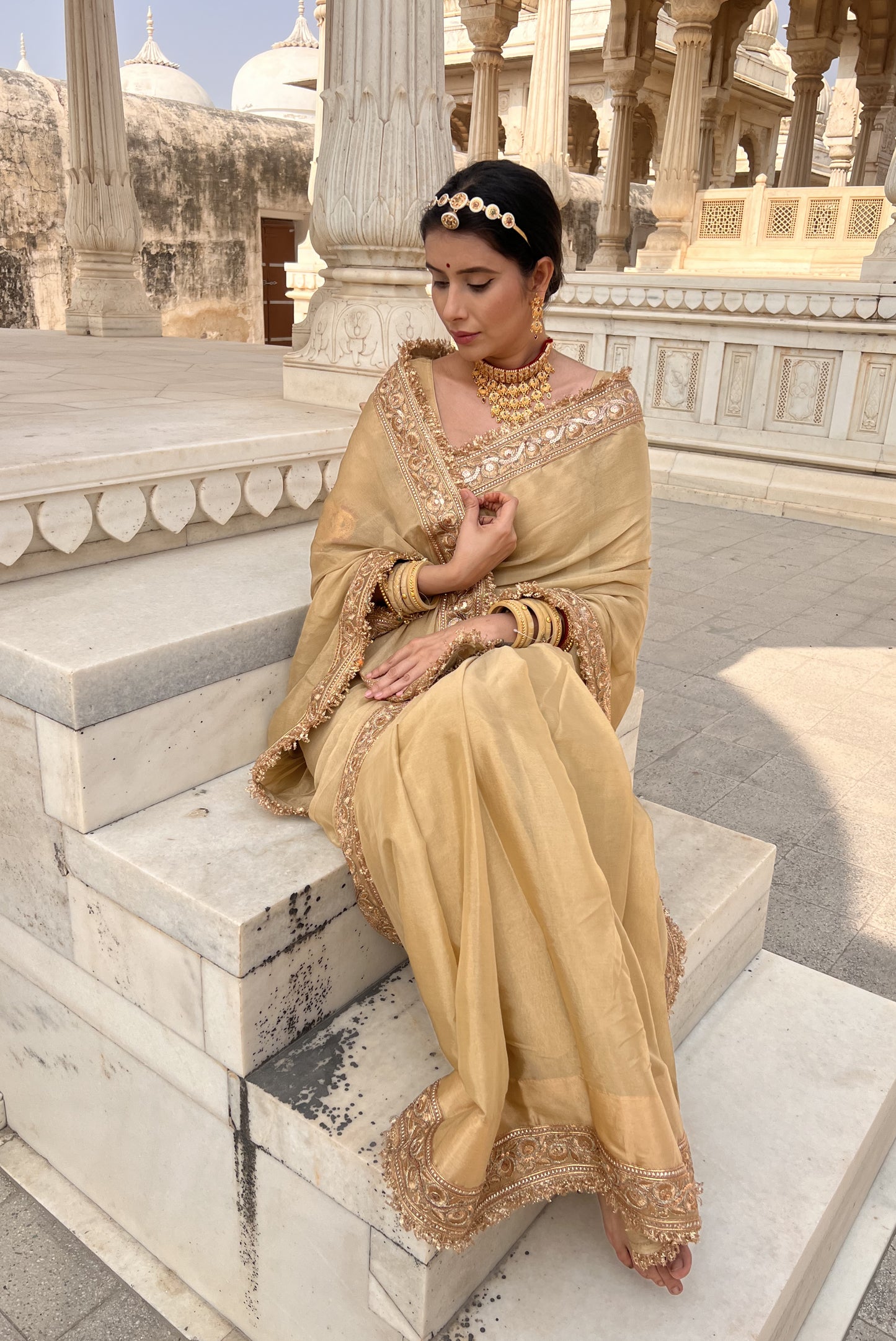 Beautiful beige chinon saree with authentic Rajasthani chirmir border with same stitched blouse