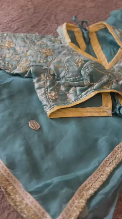 Beautiful Sea Green Chiffon Saree with Kanchli Blouse
